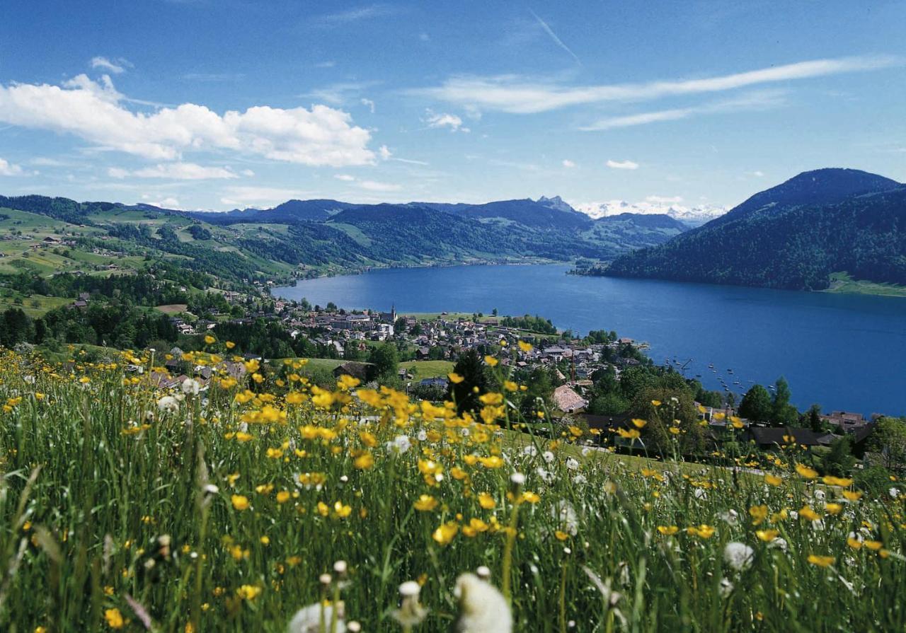 Seminarhotel Am Aegerisee Unterägeri Dış mekan fotoğraf