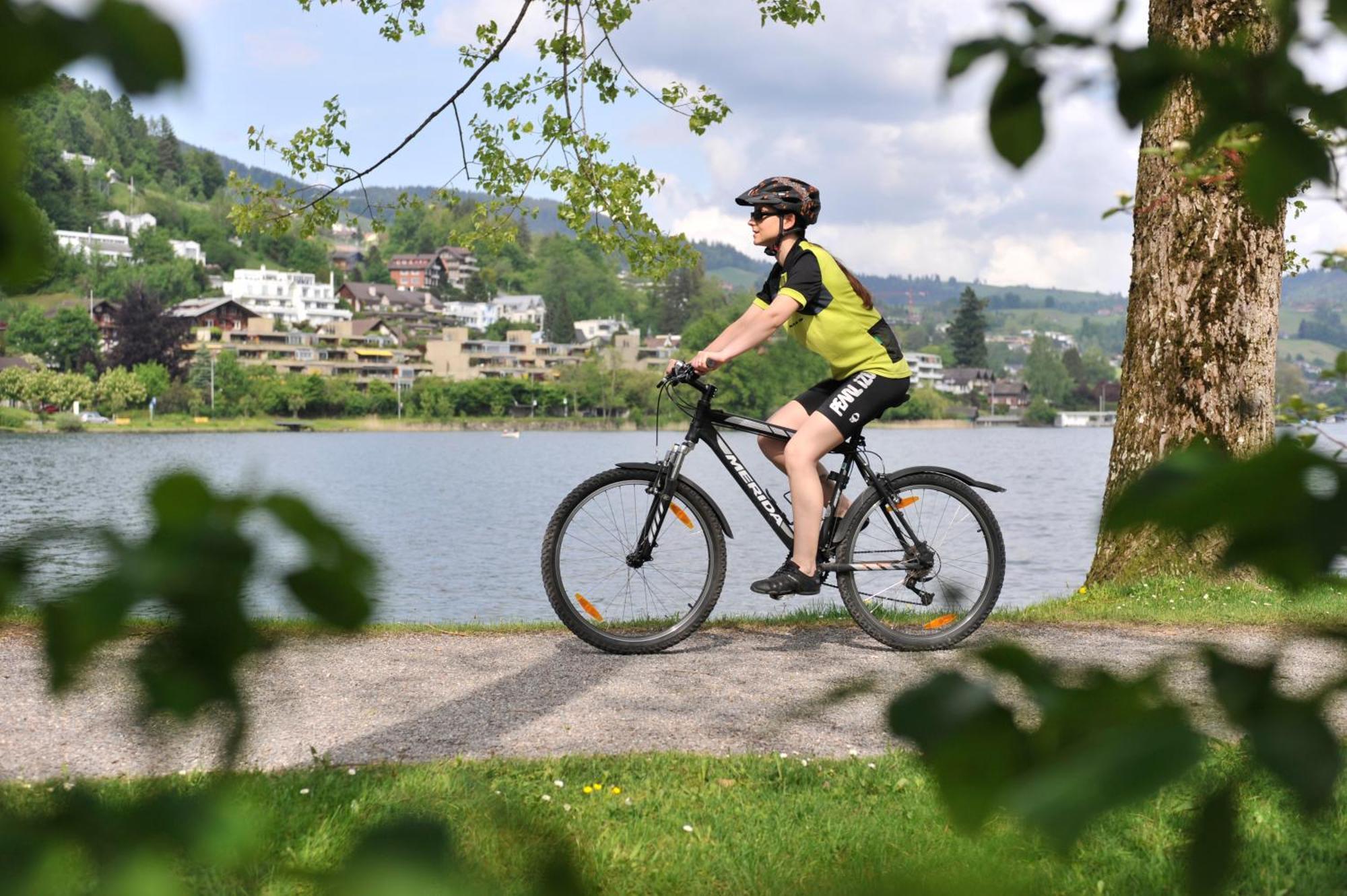Seminarhotel Am Aegerisee Unterägeri Dış mekan fotoğraf